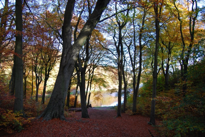 Chellow Dene